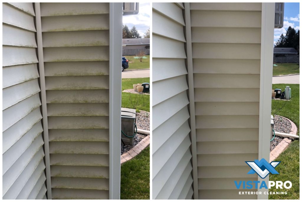 Algae covered chimney on vinyl siding