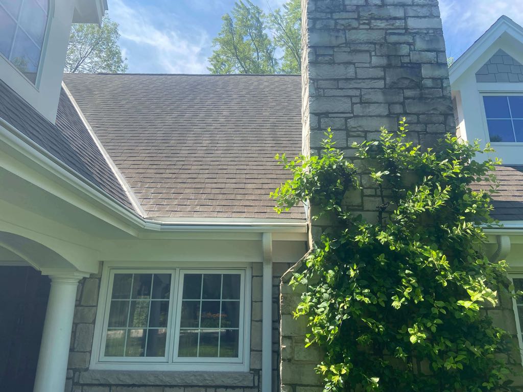 Roof showing black streaks and organic growth on chimney