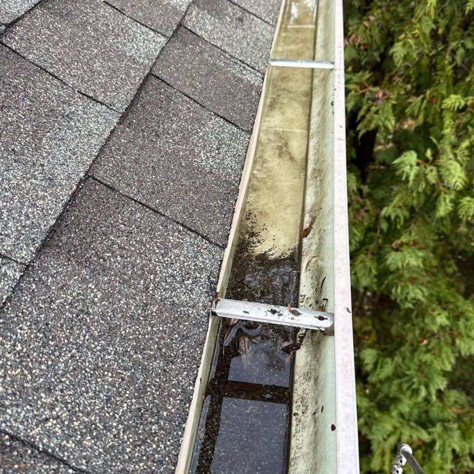 Picture of the inside of a gutter on a second story house.